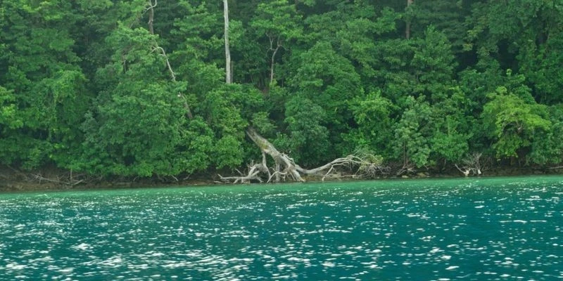 Andaman and Nicobar image