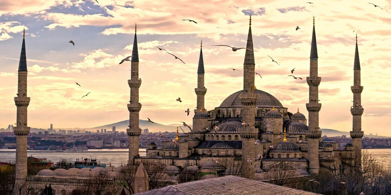 Turkey image